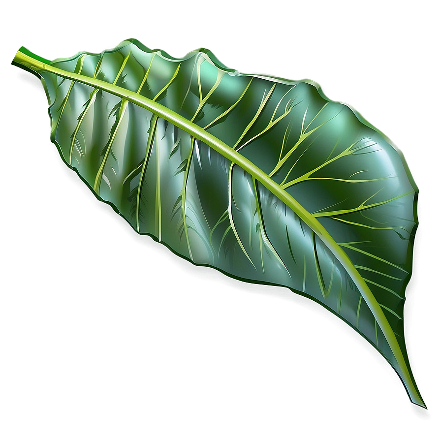 Simple Leaf Png 05032024