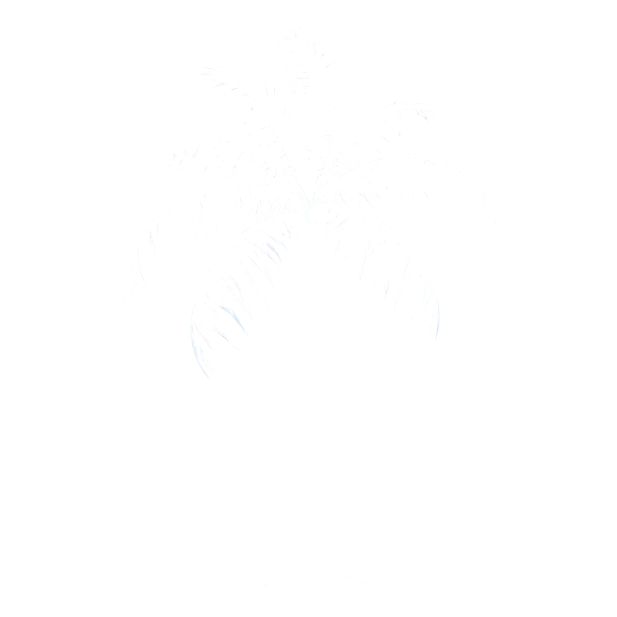 Simple Palm Tree Silhouette Png Afp23