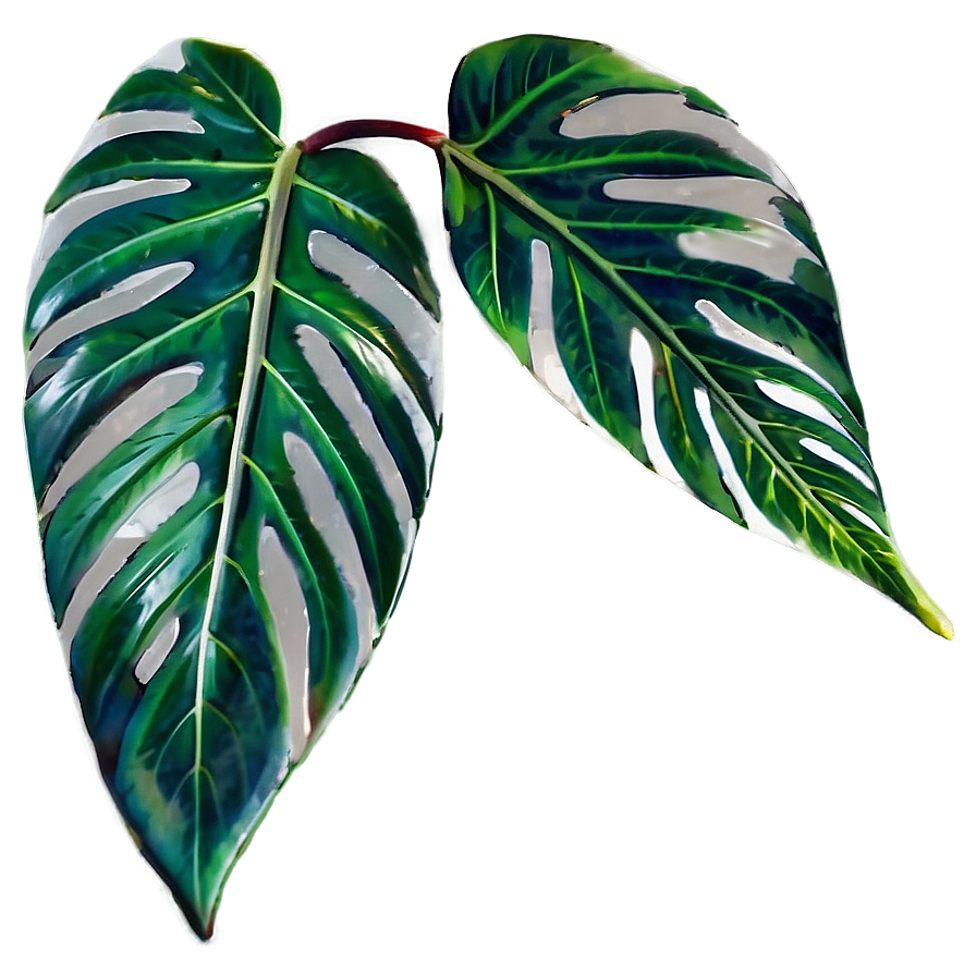 Simple Plant Leaves Png 06232024