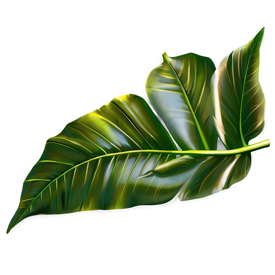 Simple Plant Leaves Png 06232024