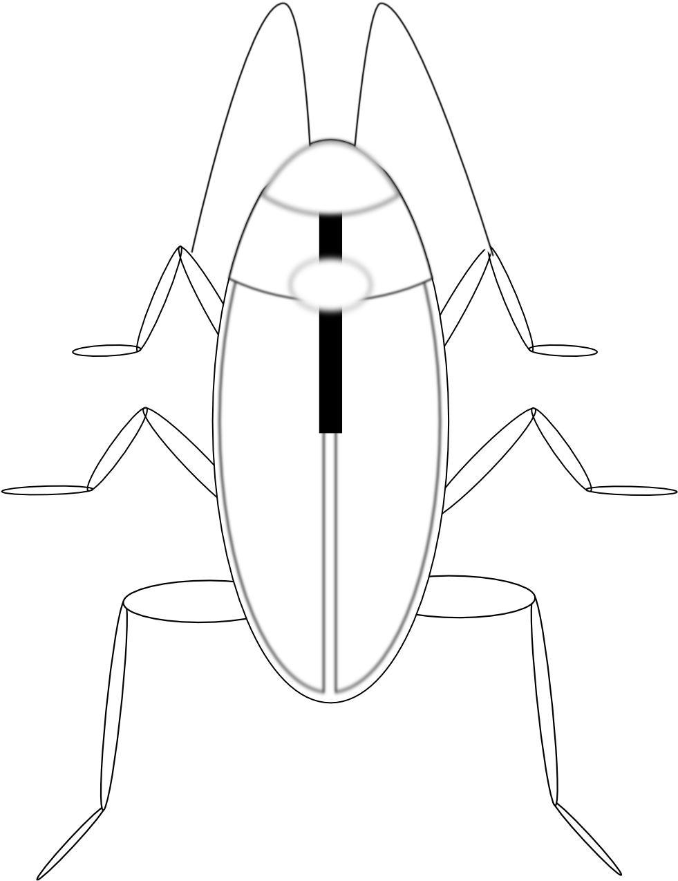 Simplified Cockroach Illustration