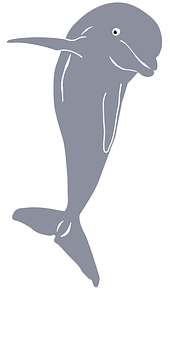 Simplified Dolphin Illustration