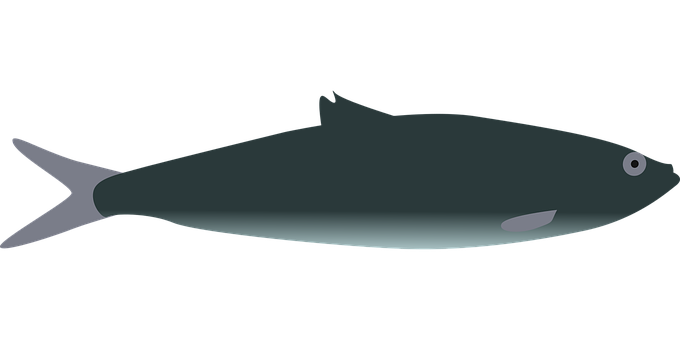 Simplified Fish Illustrationon Black Background