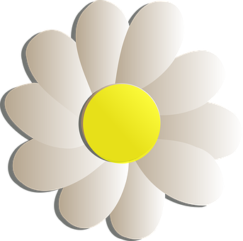 Simplified Graphic Daisy Flower