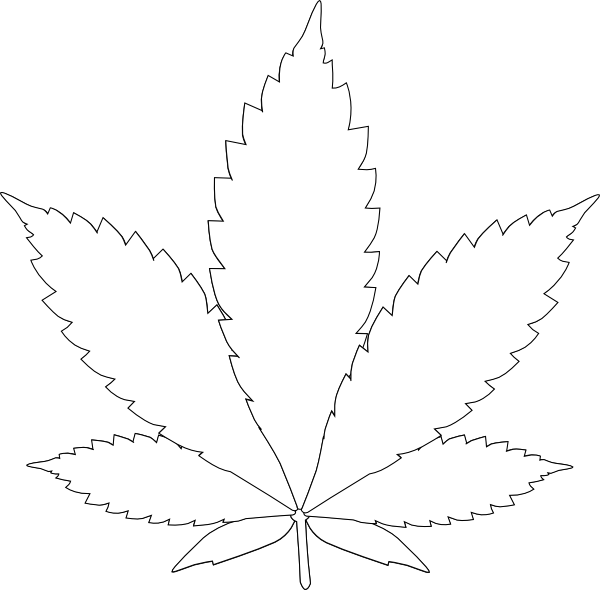 Simplified Leaf Outline