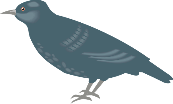 Simplified Pigeon Illustration