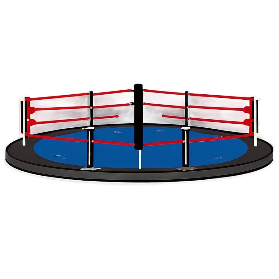 Simplified Wrestling Ring Diagram Png Fwj50