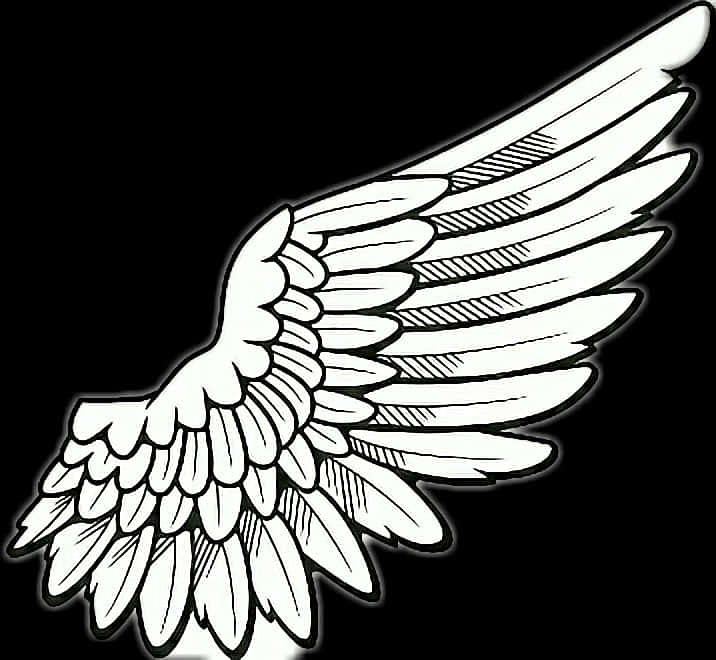 Single Angel Wing Illustration