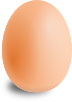 Single Brown Eggon Black Background.jpg