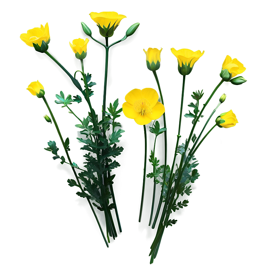 Single Buttercup Png 14