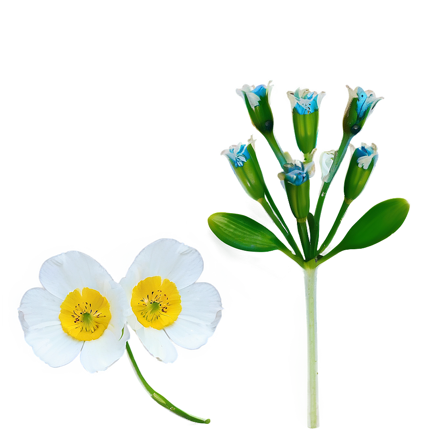 Single Buttercup Png Pab62