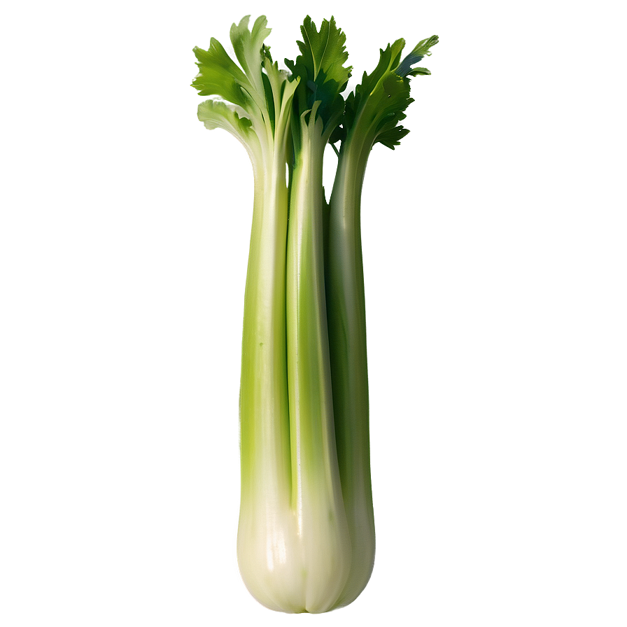 Single Celery Stalk Png 06252024