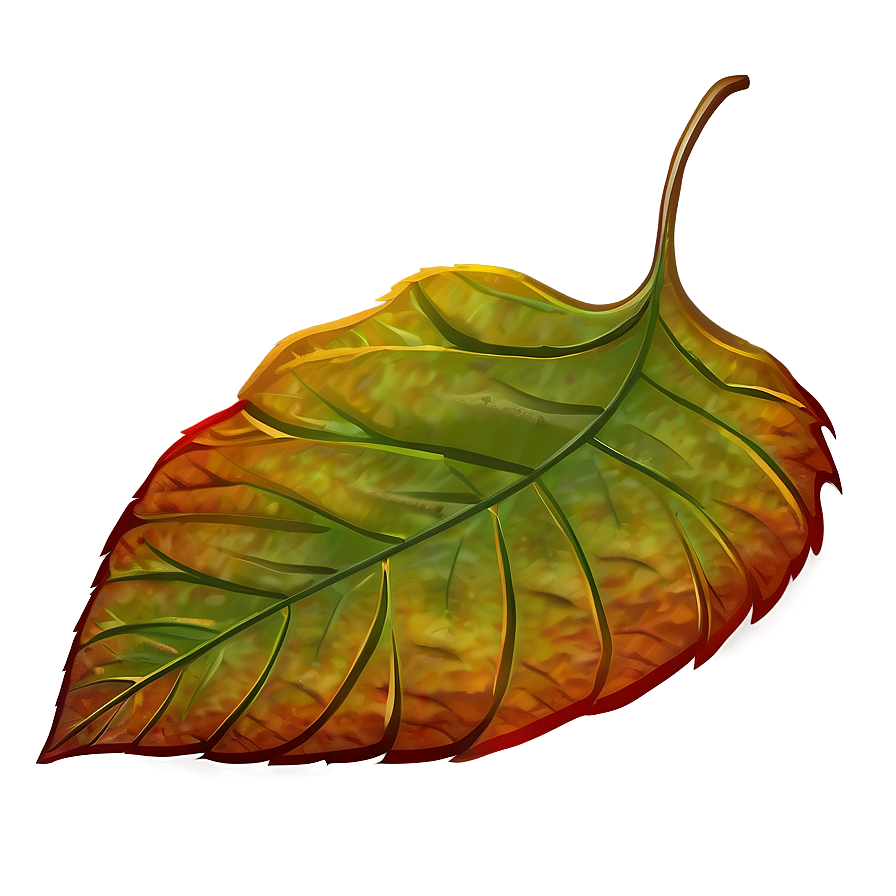 Single Fall Leaf Png Exs