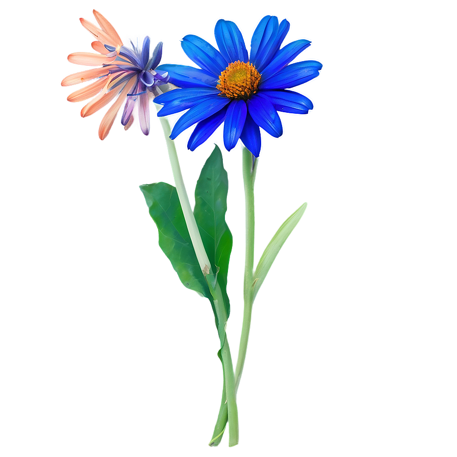 Single Flower Clipart Png Org