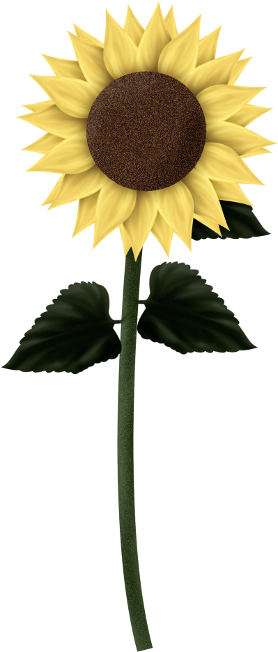 Single Sunflower Graphic