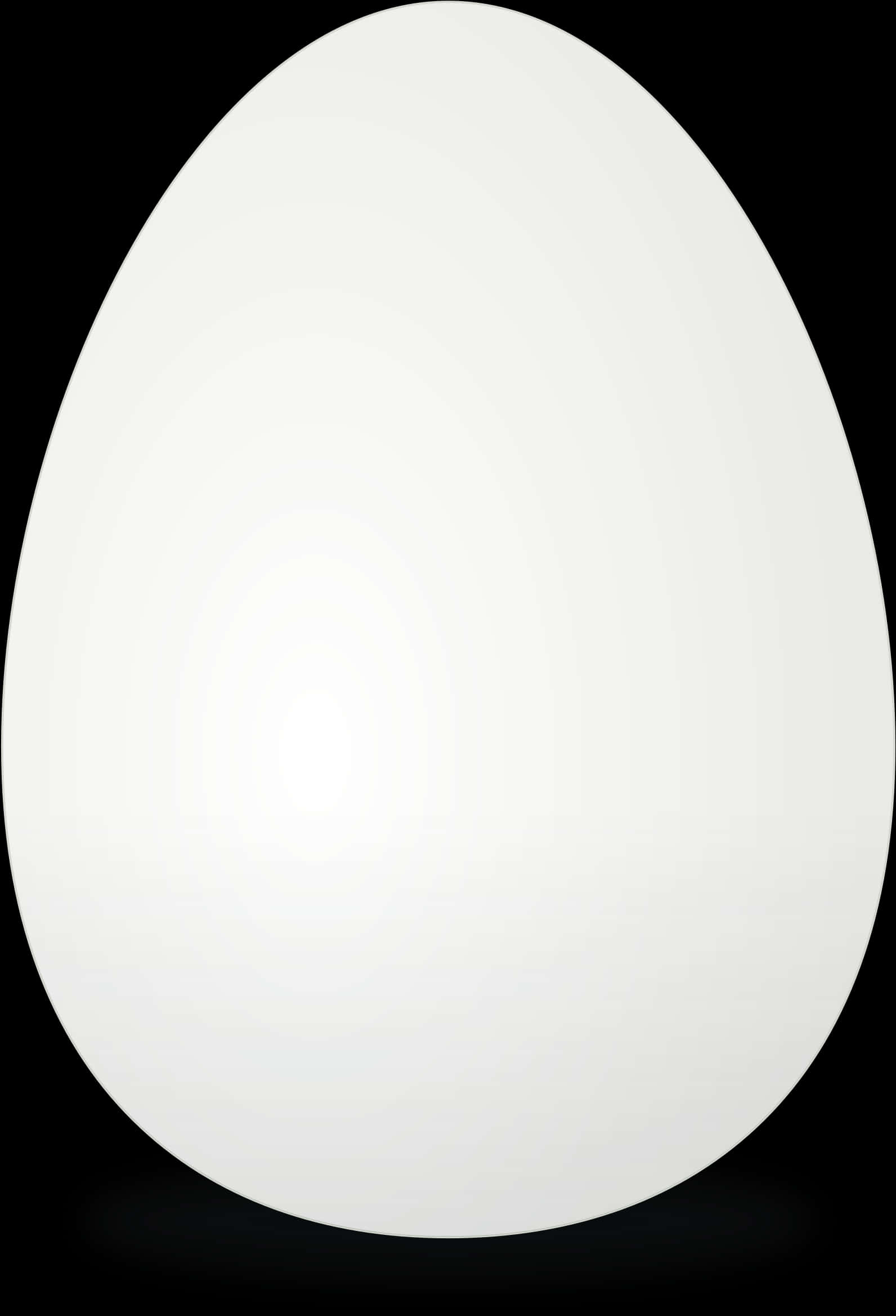 Single White Eggon Black Background.jpg