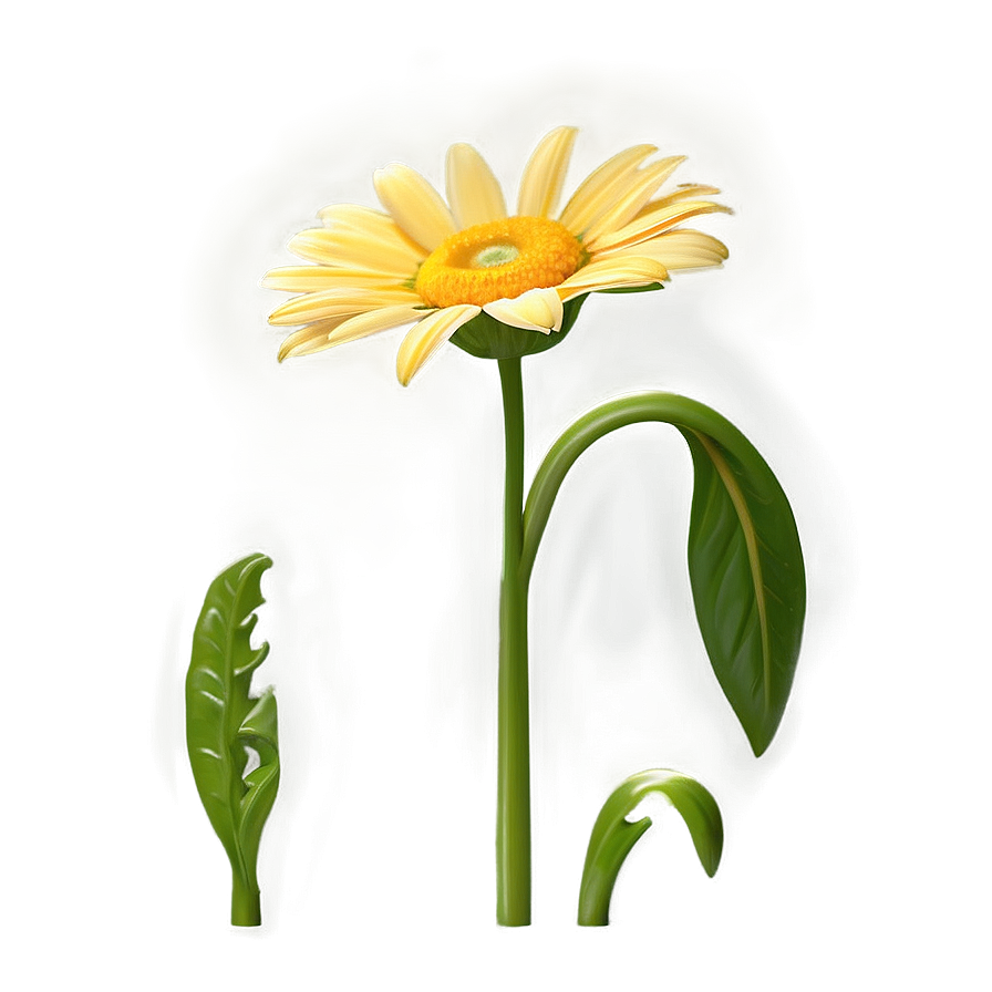 Single Yellow Daisy Bloom Png Ftg