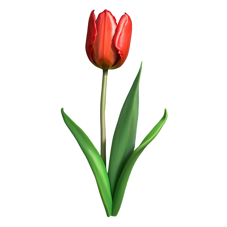 Sketch Of Tulips Png Pwr12