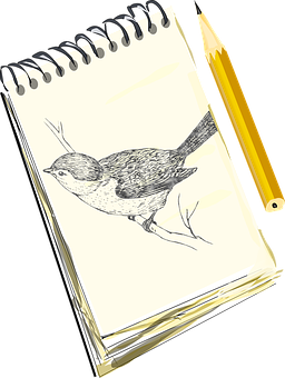 Sketchbook Bird Drawingand Pencil