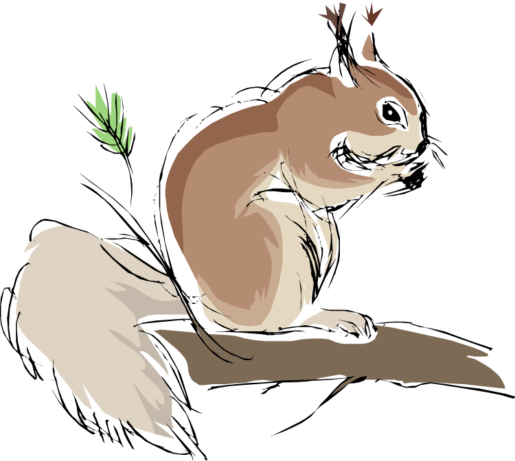 Sketchy Squirrelon Branch