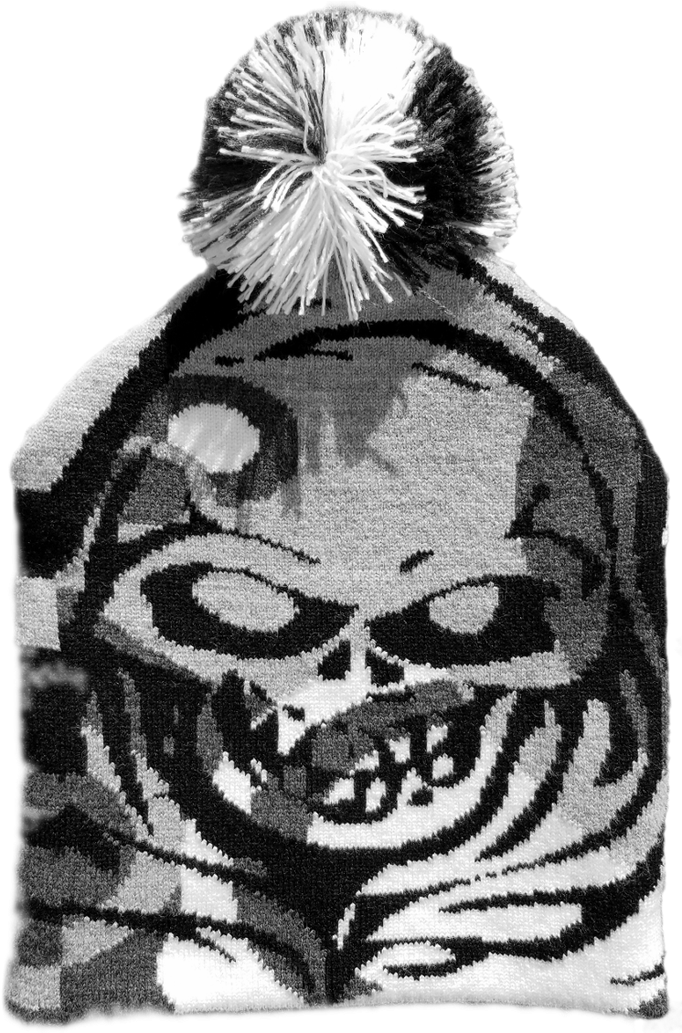 Skull Beanie Hat Design