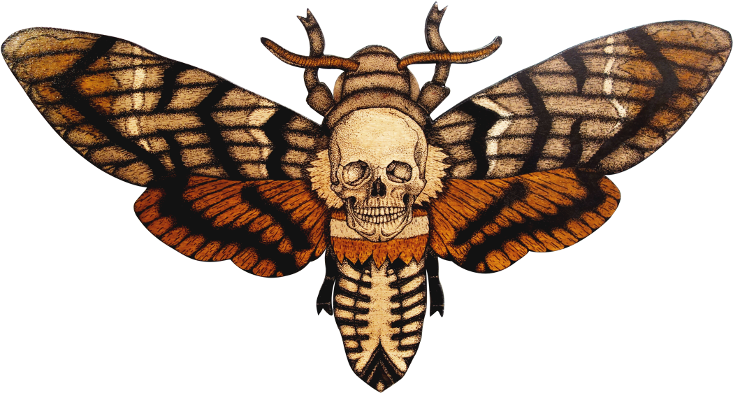 Skull Moth Illustration.png