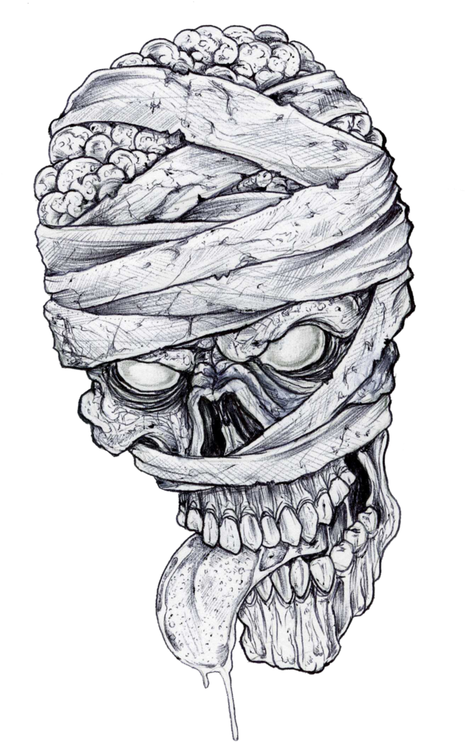 Skull_ Wrapped_in_ Barbed_ Wire_ Drawing