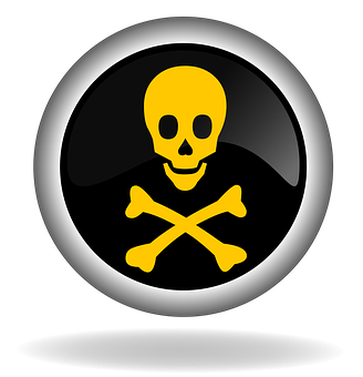 Skulland Crossbones Icon