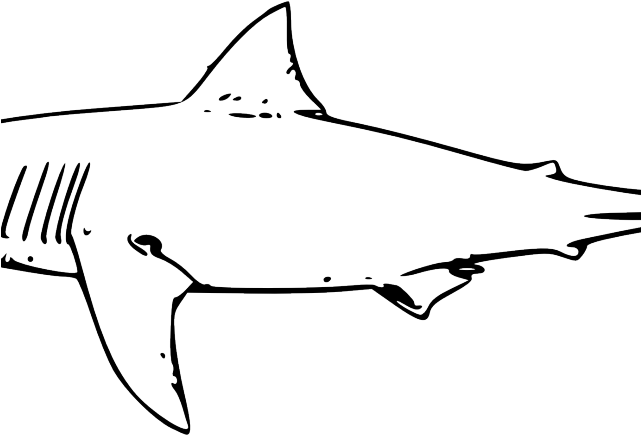 Sleek Shark Silhouette