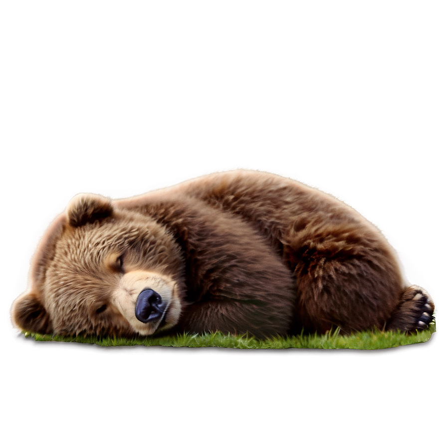 Sleeping Bear Png 05032024