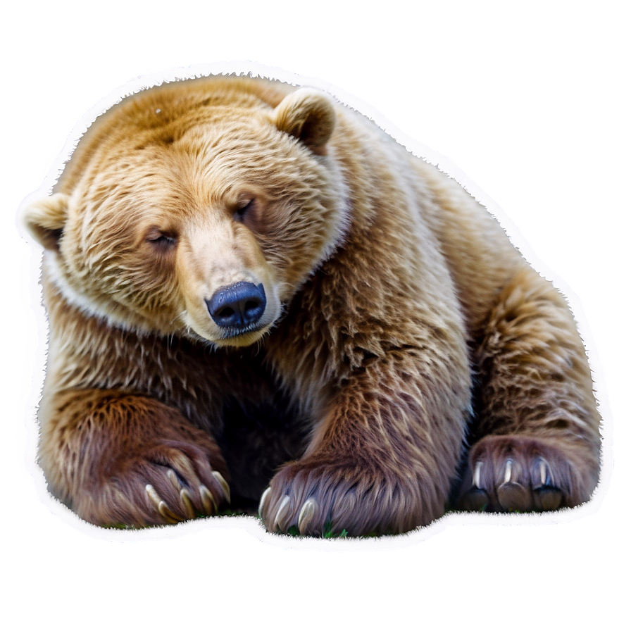 Sleeping Bear Png Cnw5