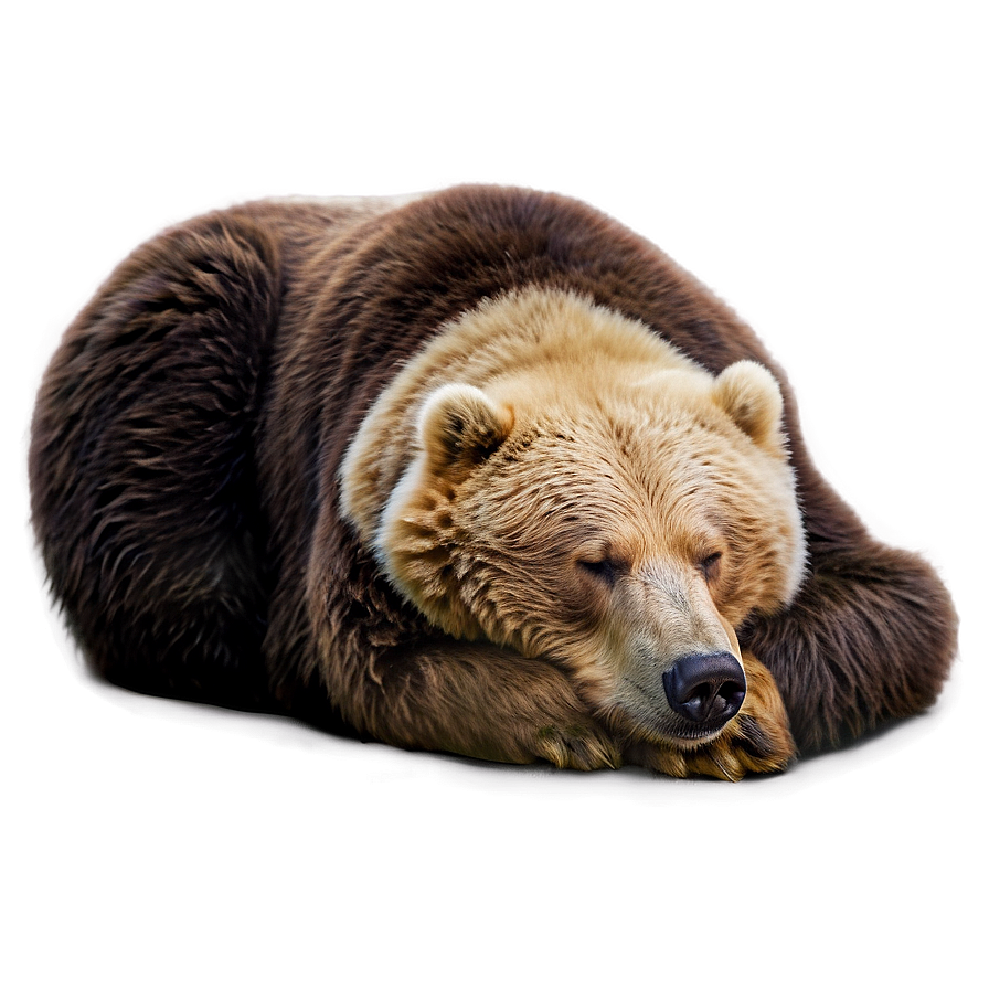 Sleeping Bear Png Gbc38