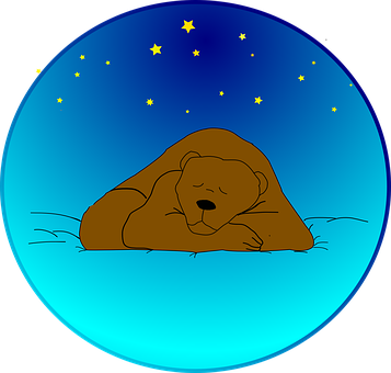 Sleeping Bear Under Starry Sky