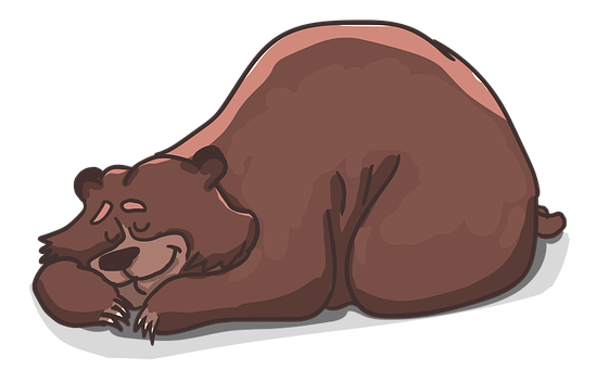 Sleeping Brown Bear Illustration