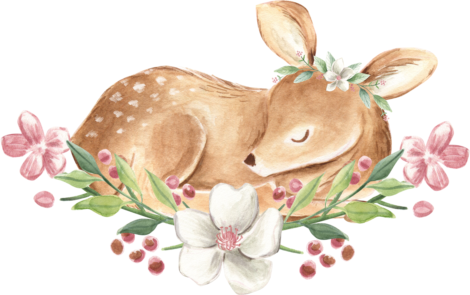 Sleeping Fawn Floral Wreath Illustration