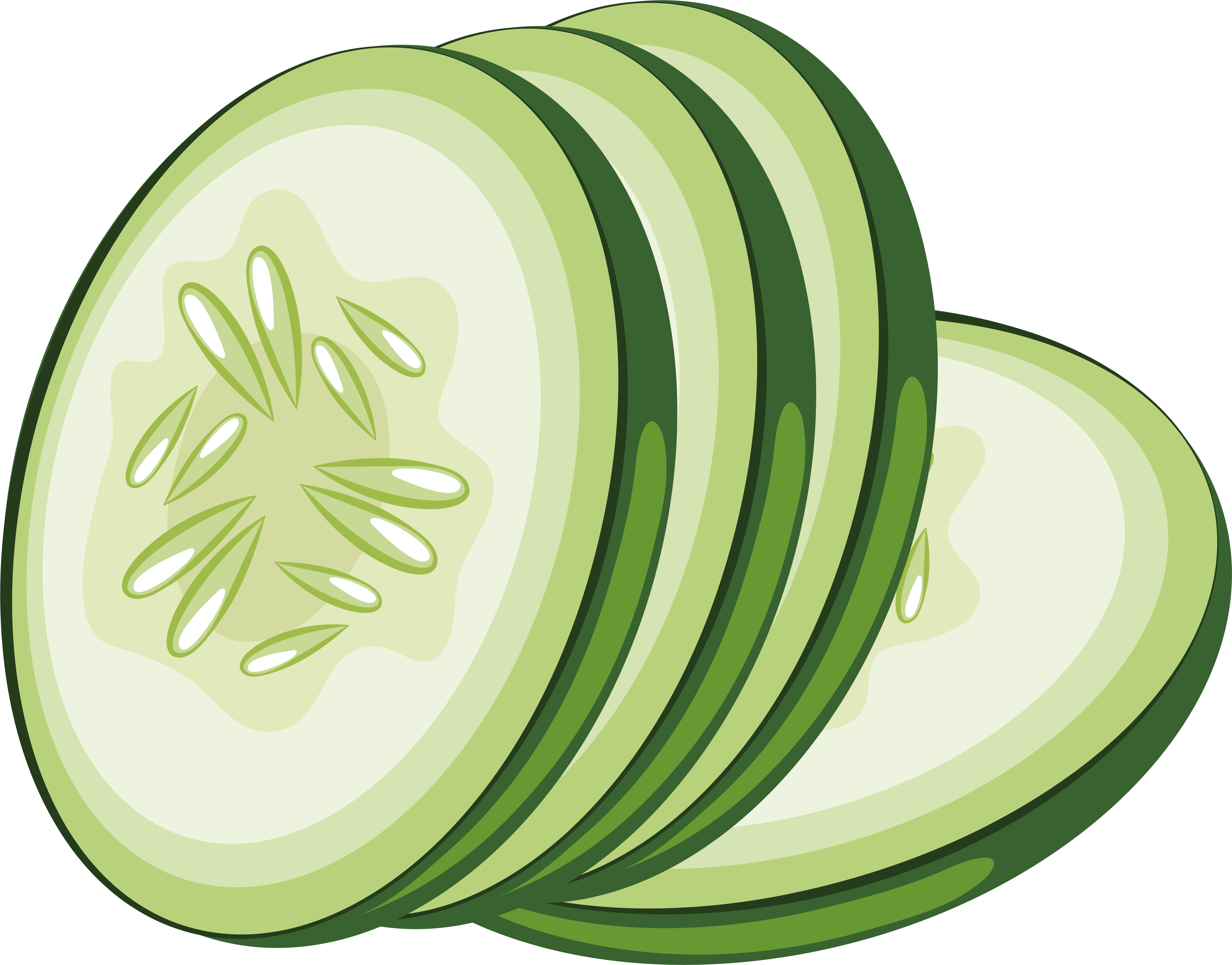 Sliced Cucumber Vector Illustration