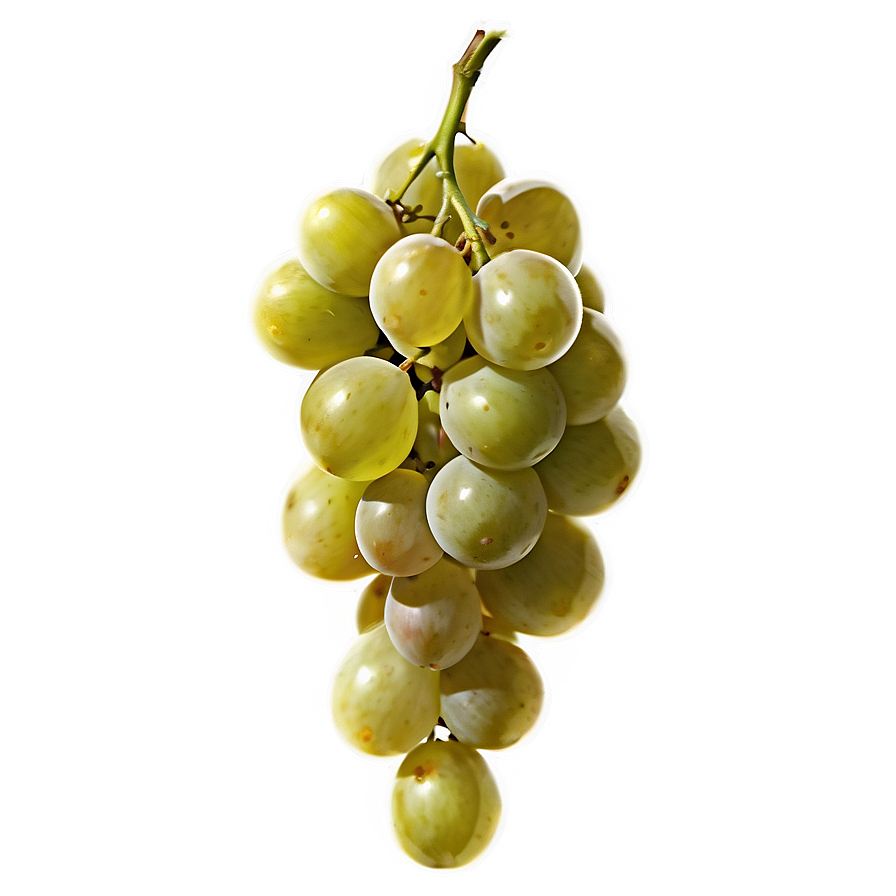 Sliced Grape Png 26