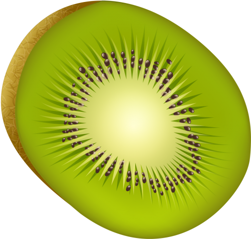 Sliced Kiwi Fruit Illustration