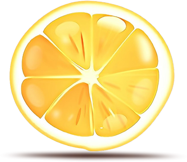 Sliced Mandarin Orange Illustration