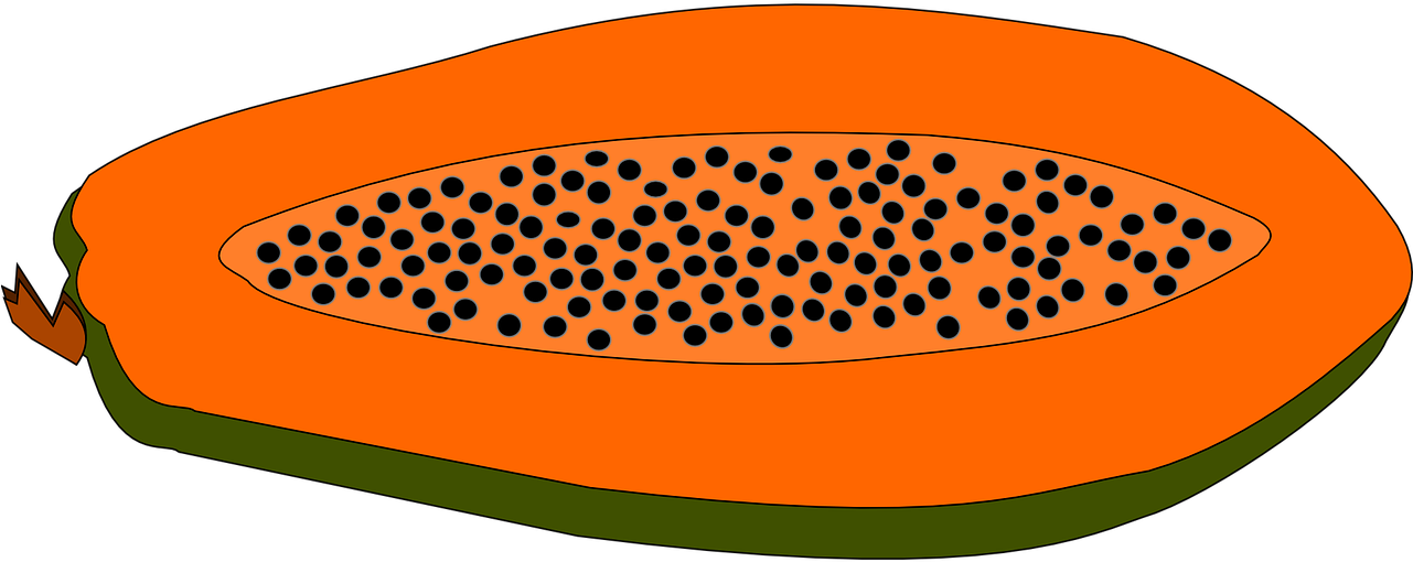 Sliced Papaya Illustration