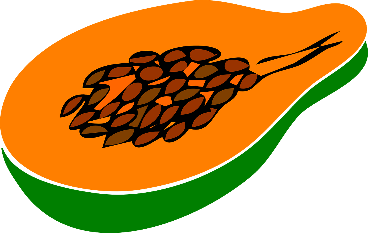 Sliced Papaya Illustration