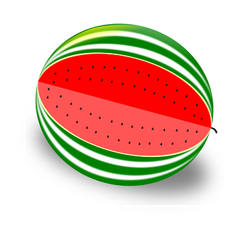 Sliced Watermelon Vector Illustration