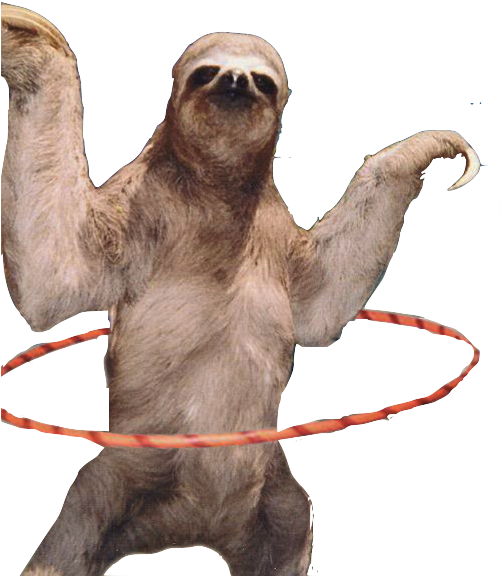 Sloth Hula Hooping Fun