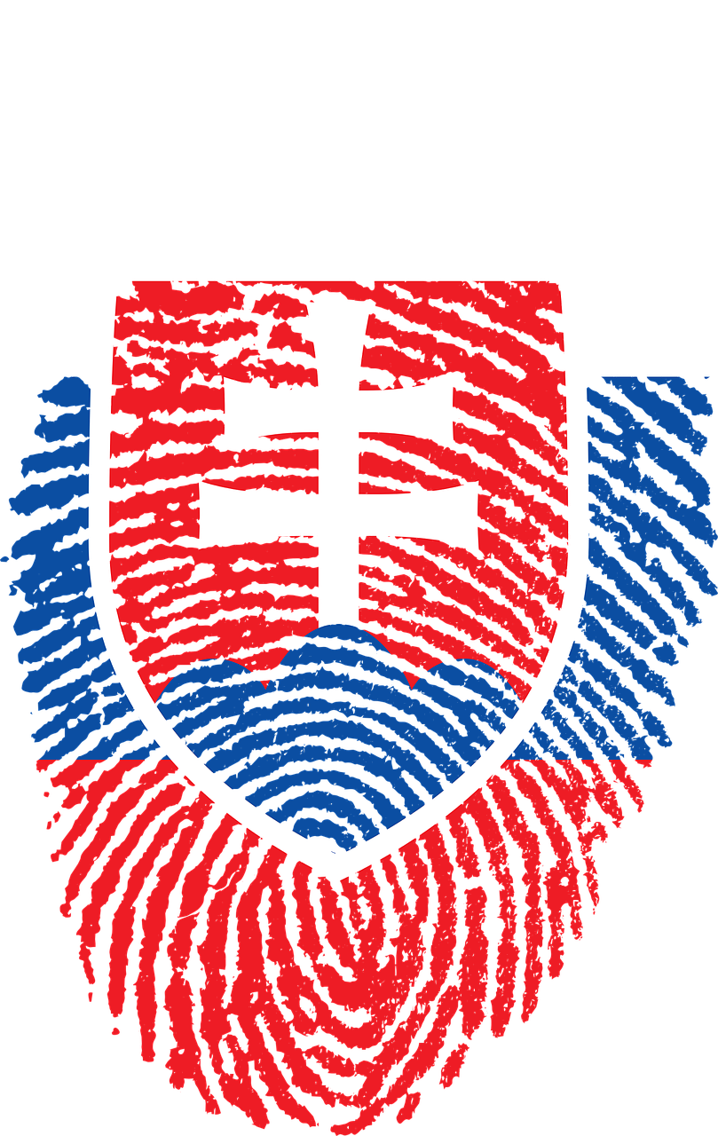 Slovakia Fingerprint Flag Art