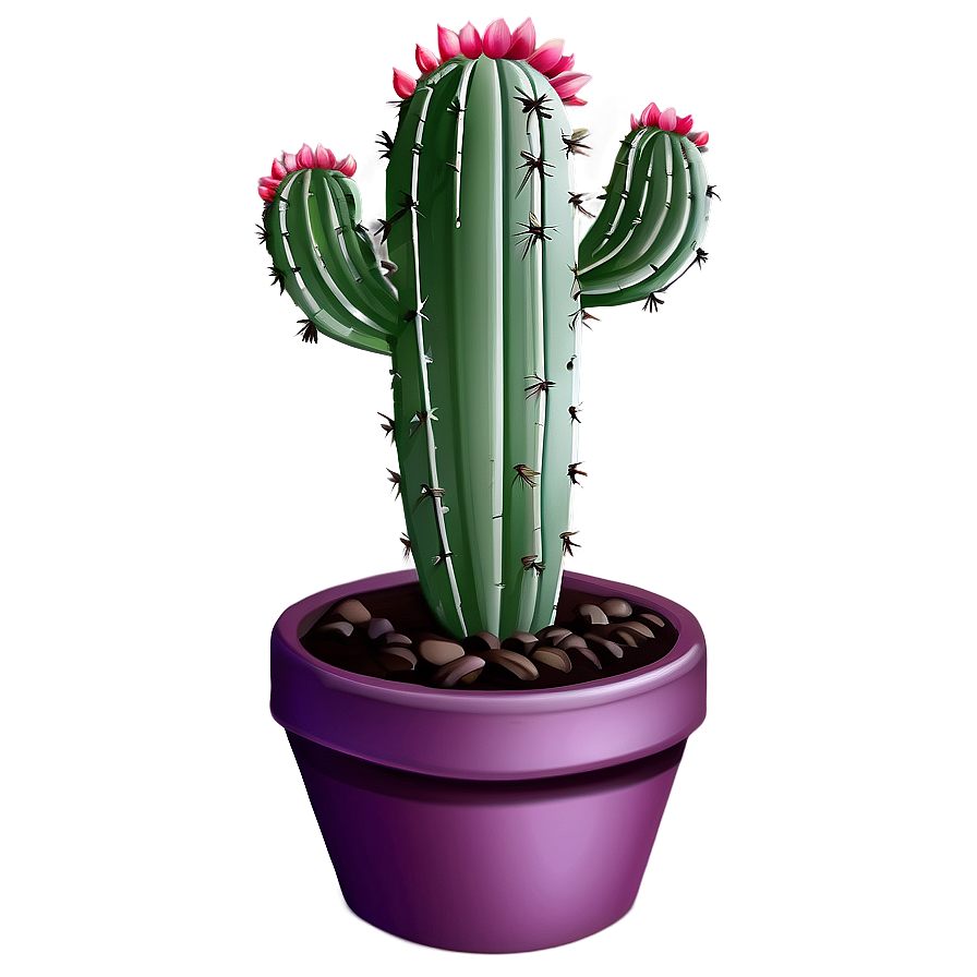 Small Cactus Plant Png 64