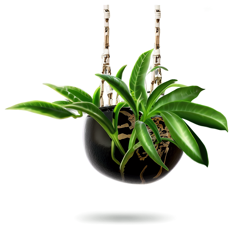 Small Hanging Plant Png Wuq42