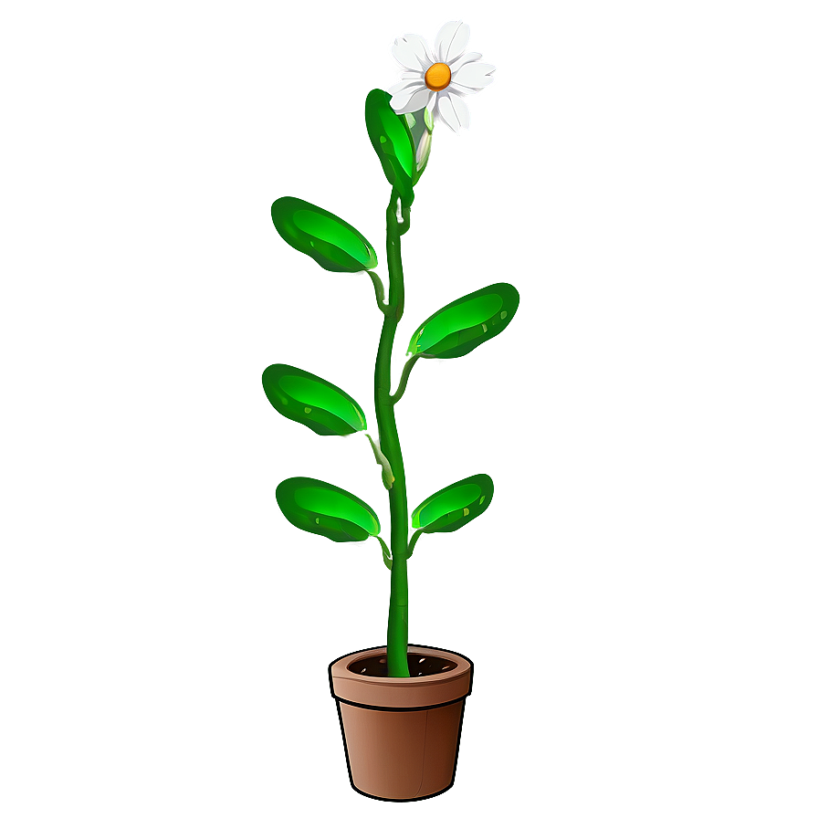 Small Plant With Flowers Png 06132024