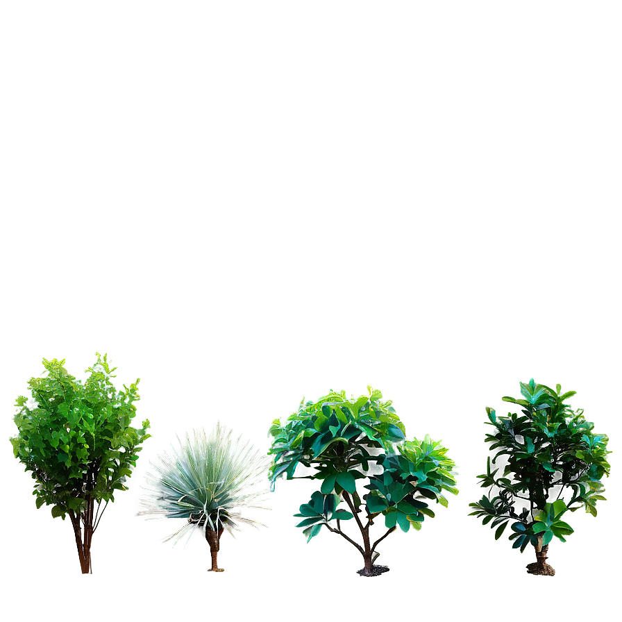 Small Shrubs Png Rdx