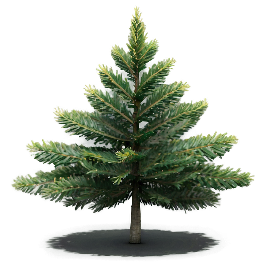 Small Tree Icon Png Eje