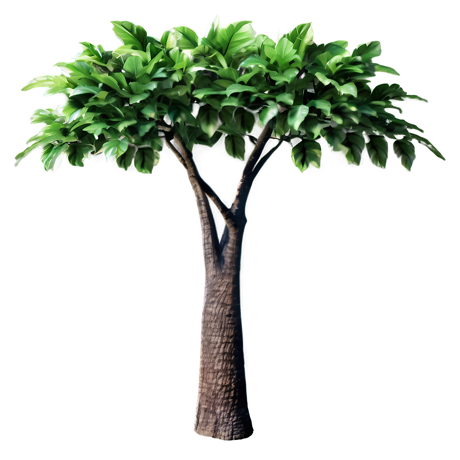 Small Tree Shade Png Vqp78